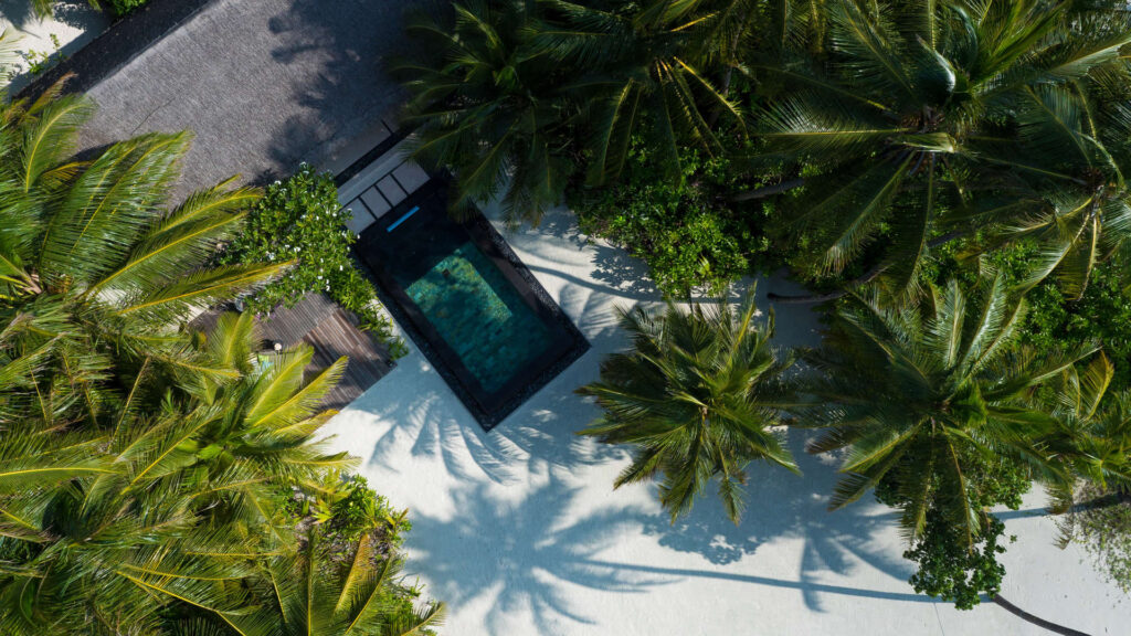 Vogelperspektive auf rechteckigen Pool mit dunklen Fliesen und Holzdeck, umgeben von Palmen im One&Only Reethi Rah