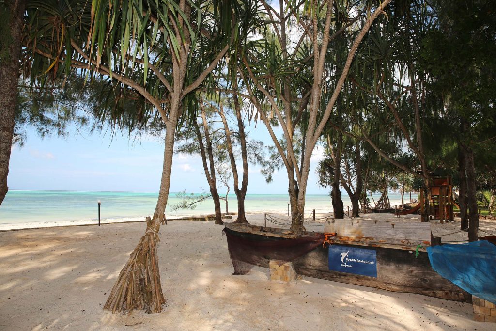 Strand mit sandigem Boden, Bäumen mit langen Blättern und altem Holzkahn am Meer in Sansibar