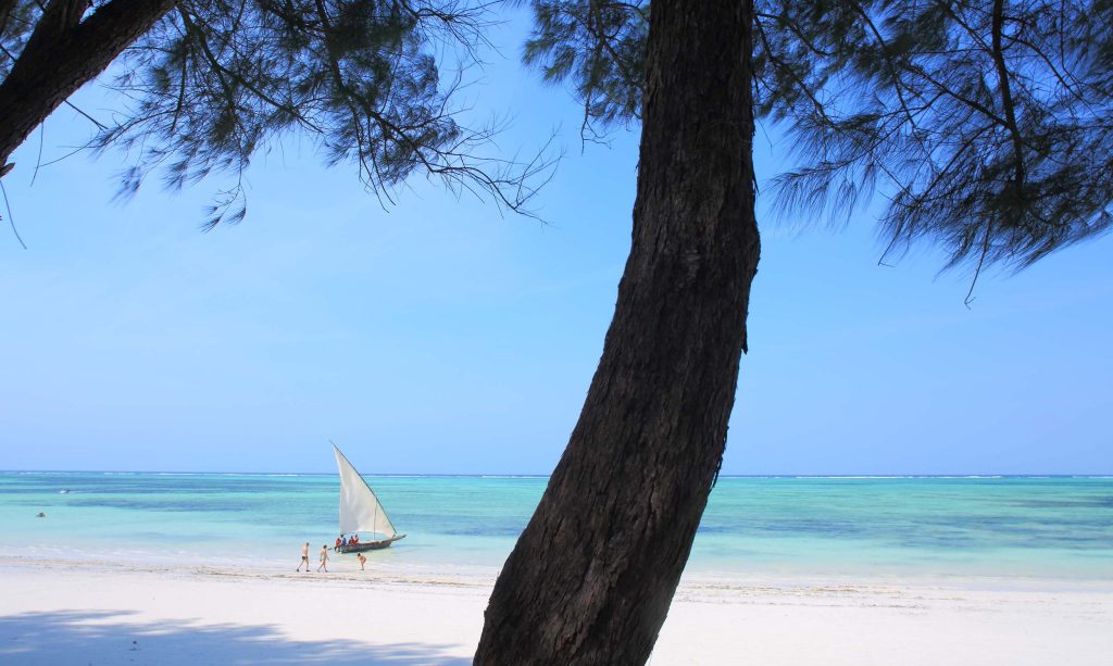 Strand mit weißem Sand, traditionelles Segelboot mit Menschen, türkisfarbenes Meer und Baum mit dunkler Rinde