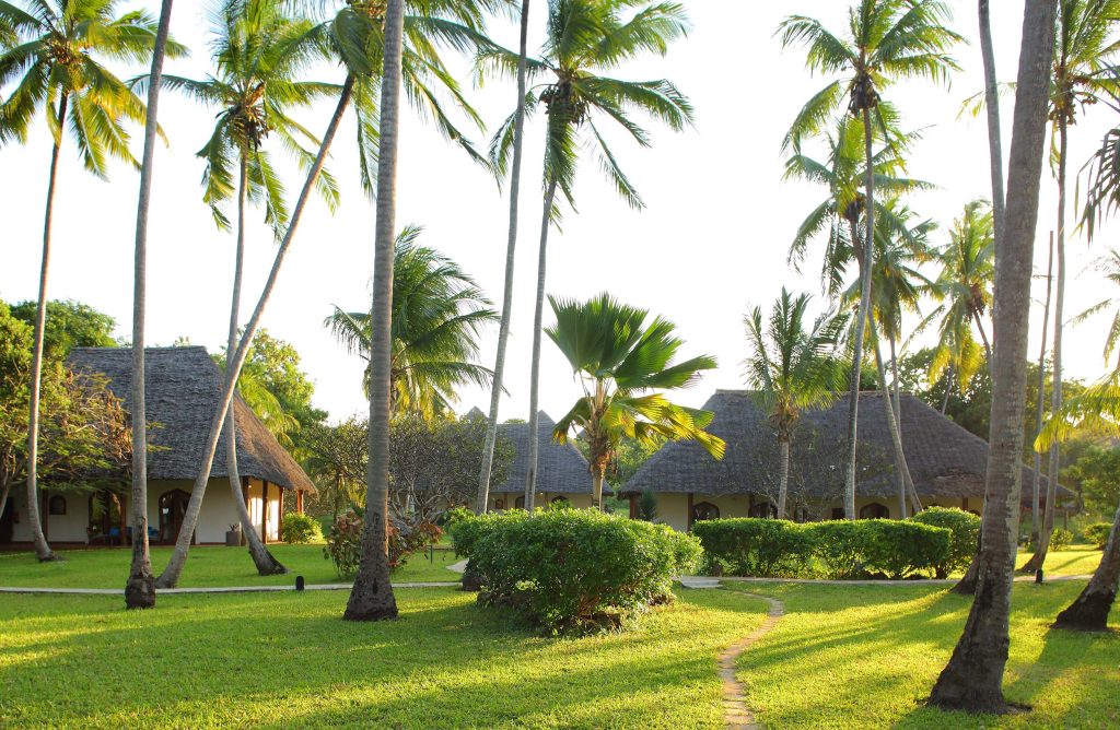 Tropisches Resort mit strohbedeckten Bungalows, hohen Palmen und grünem Rasen bei Tageslicht