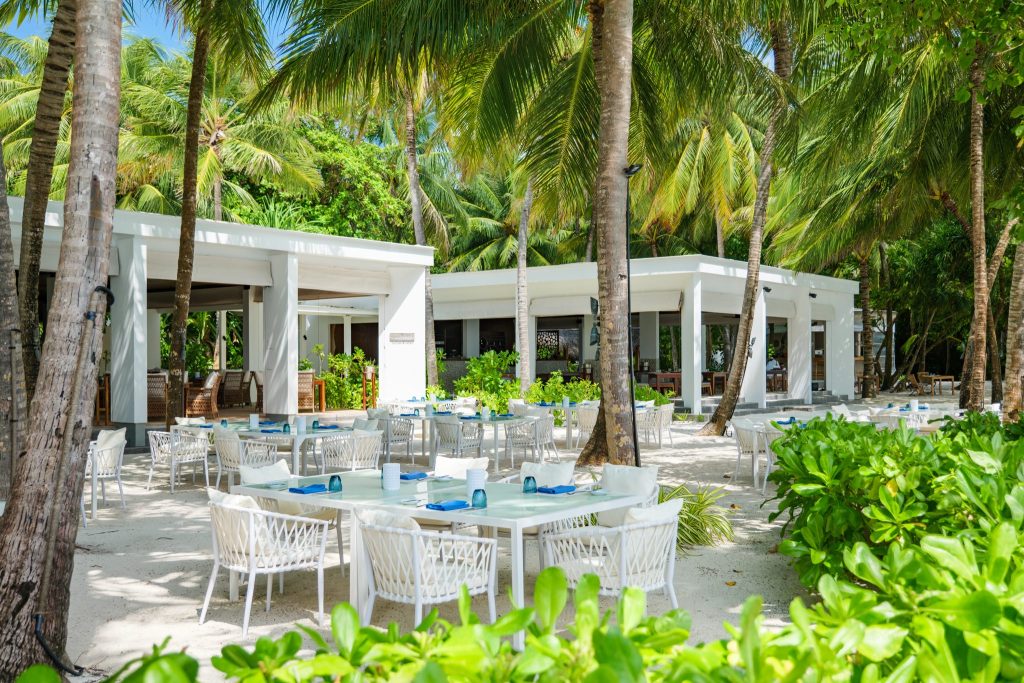 Offener Outdoor-Essbereich des Restaurant Barolo bei Amilla Maldives mit weißen Tischen und Palmen