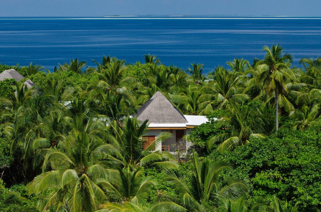Blick auf Amilla Maldives Zimmer Treetop Pool Villa mit Reetdach aus Stroh und Holz, umgeben von Palmen und blauem Ozean