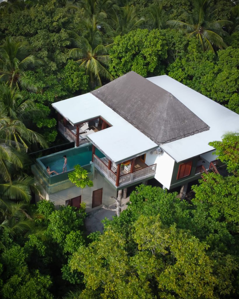 Moderne Treetop Pool Villa aus Holz und Glas mit Reetdach und Infinity-Pool im grünen Dschungel