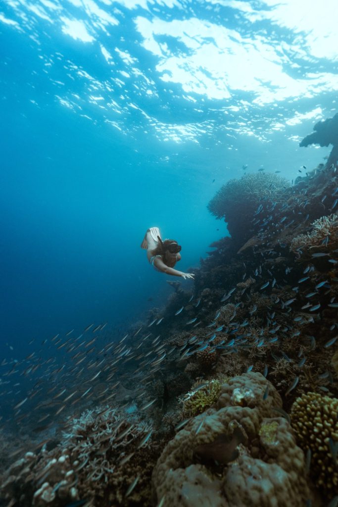 Taucher mit Flossen schwimmt über dicht bewachsenem Korallenriff mit Fischen, blau-grüne Unterwasserfarben