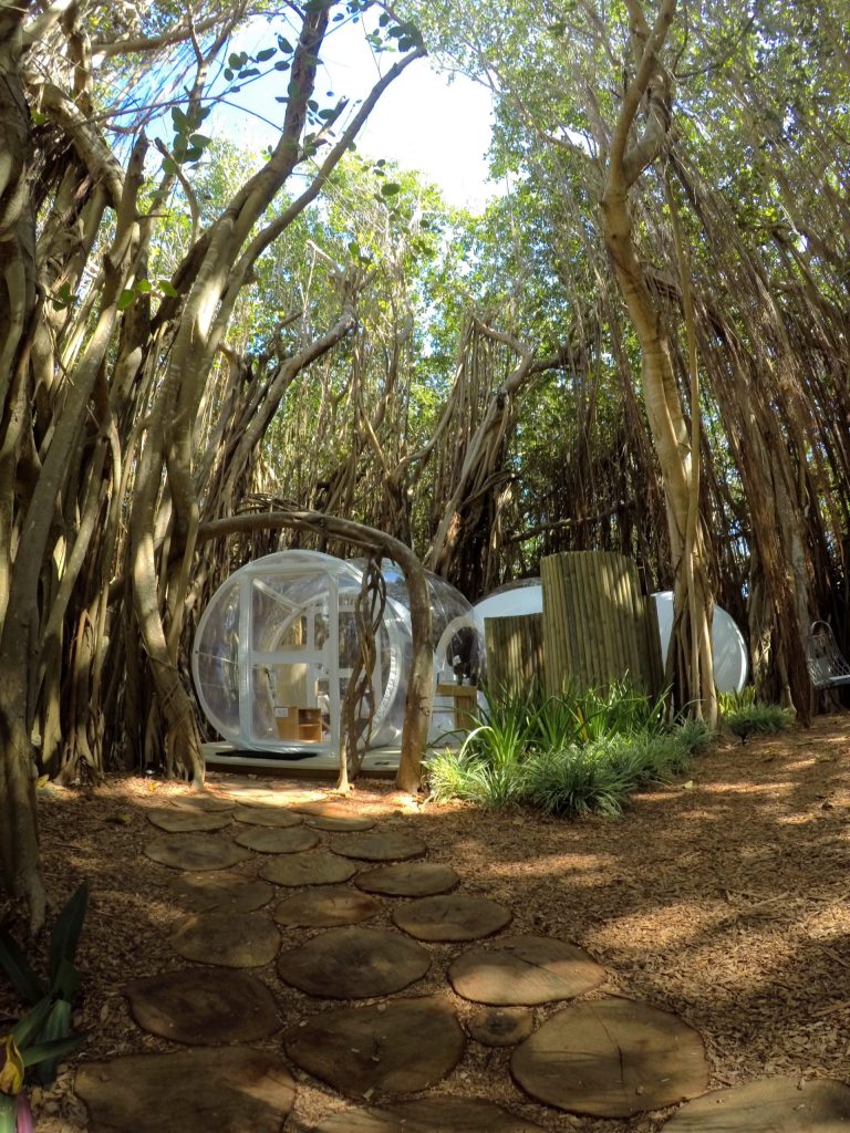 Modernes transparentes Bubble Lodge Ìle aux Cerfs Zimmer Banyan Tree in einer Kuppel umgeben von hohen Bäumen