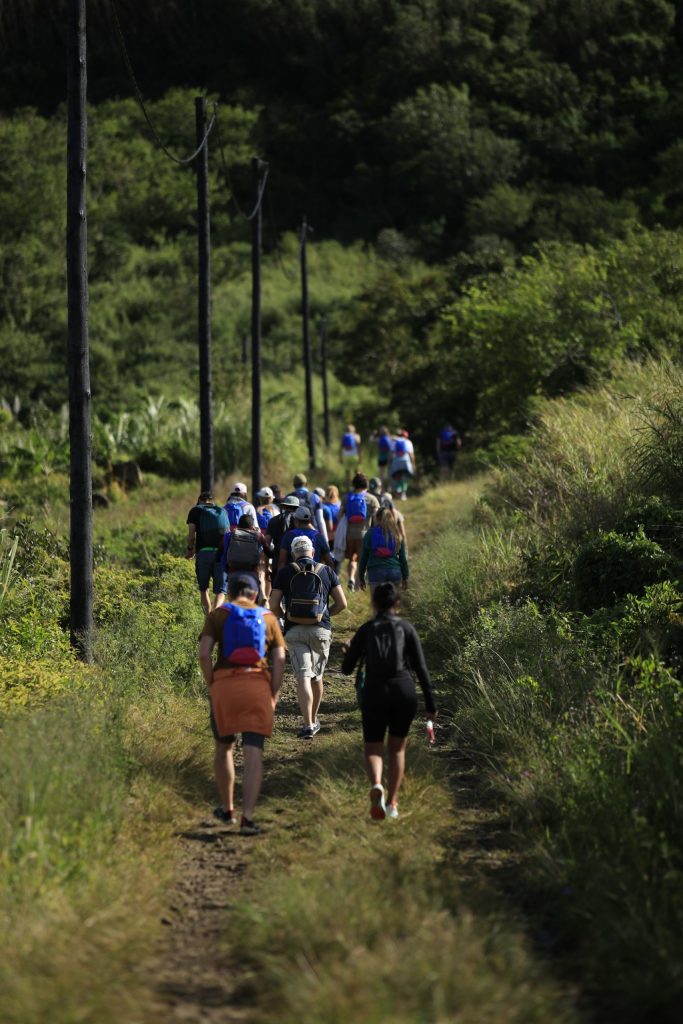 Wanderer mit bunten Rucksäcken auf unbefestigtem Pfad durch dichten Wald bei Tageslicht