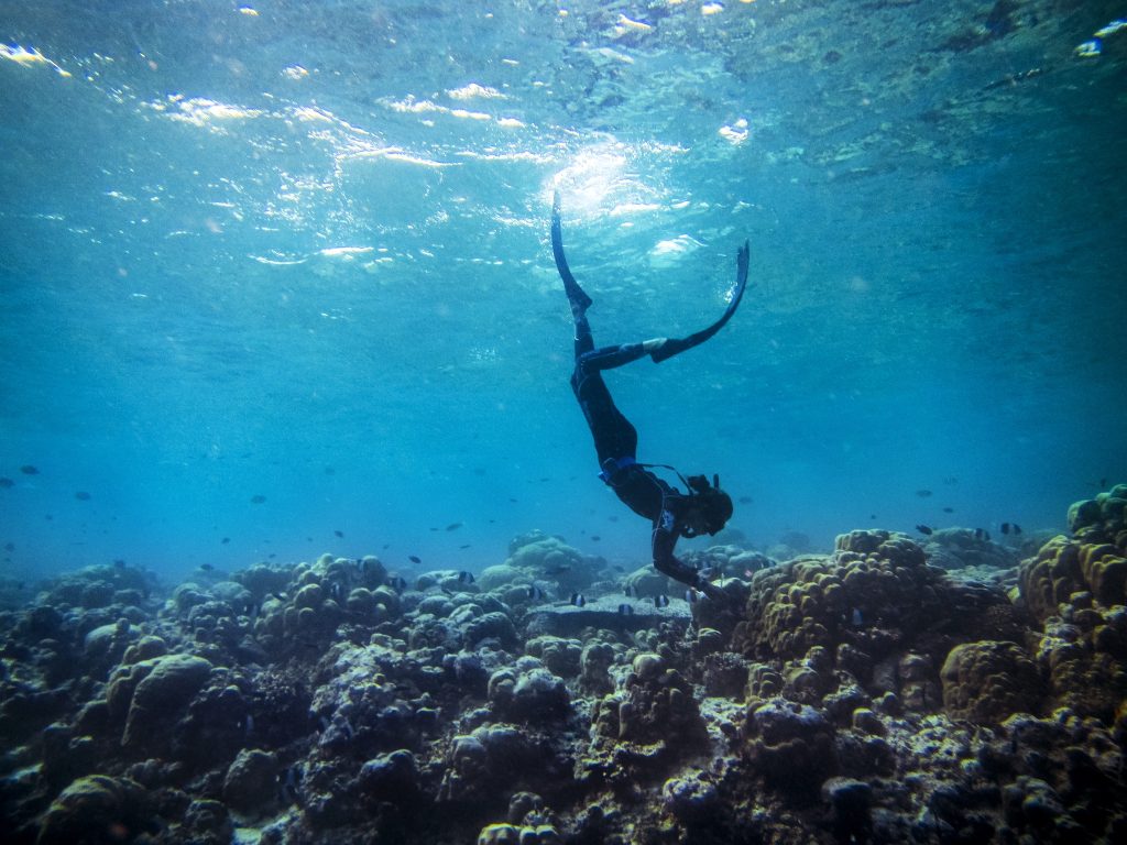 Taucher in Neoprenanzug schwimmt über Korallenriff unter Wasser im Meer bei Cheval Blanc Randheli