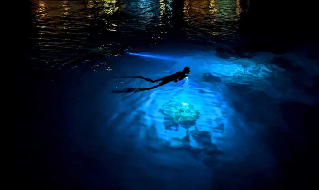 Taucher mit Taschenlampe unter Wasser, blaues Licht, Spiegelungen an der Wasseroberfläche bei Nacht
