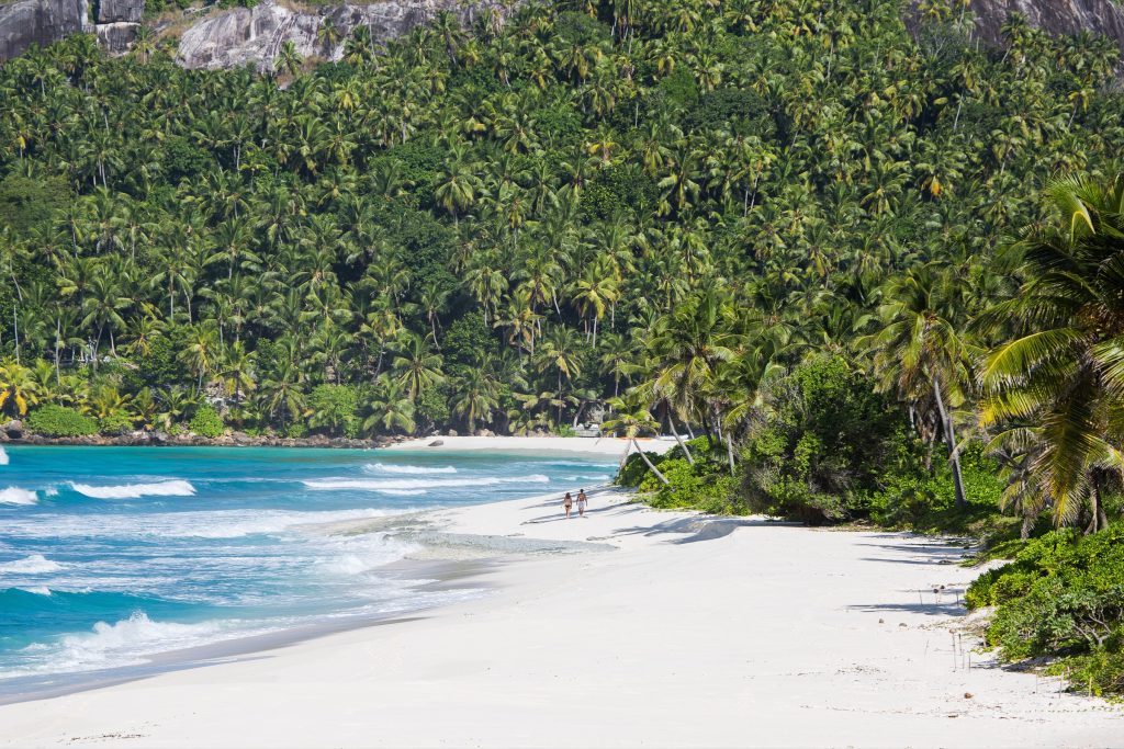 Weitläufiger weißer Sandstrand mit Palmen und grünem Palmenwald im Hintergrund am Meer auf North Island, Seychellen