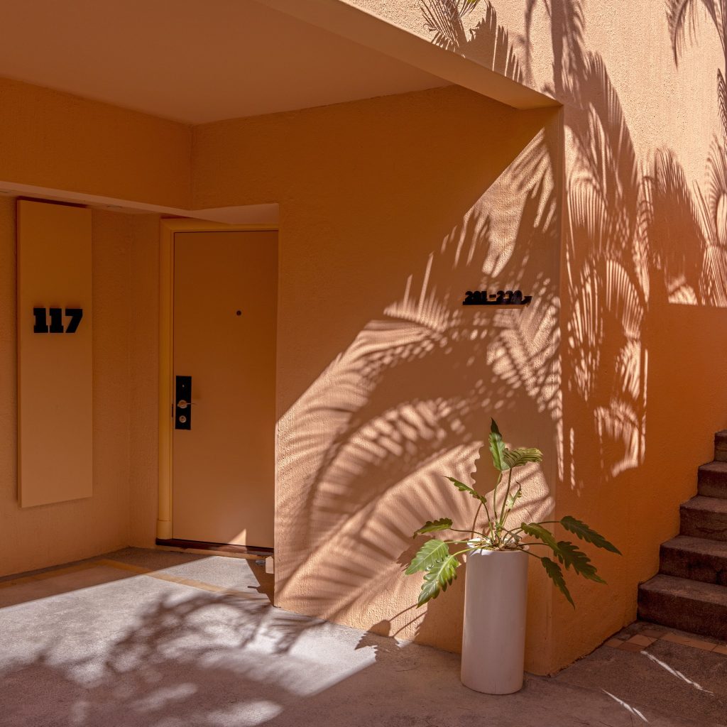 Eingang zu Hotelzimmer 117 mit orangefarbener Tür und Wand, grauem Betonboden und weißem Pflanzentopf