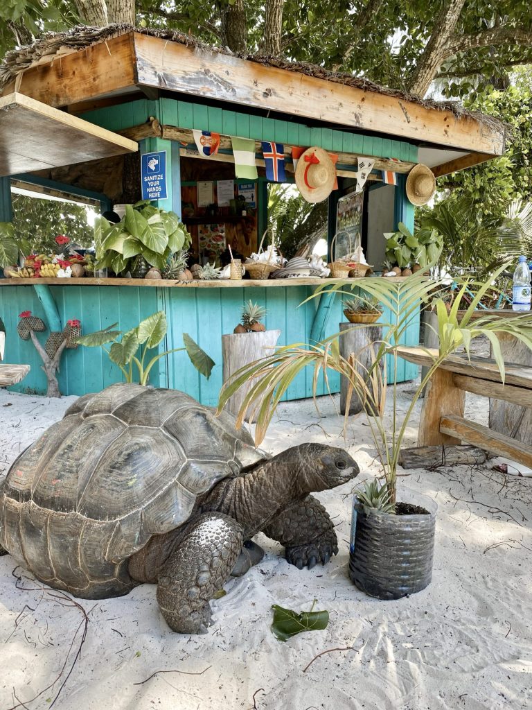 Kleine Holz-Strandhütte mit türkisfarbener Fassade und bunte Fahnen neben großem schildkrötenähnlichem Tier im Sand