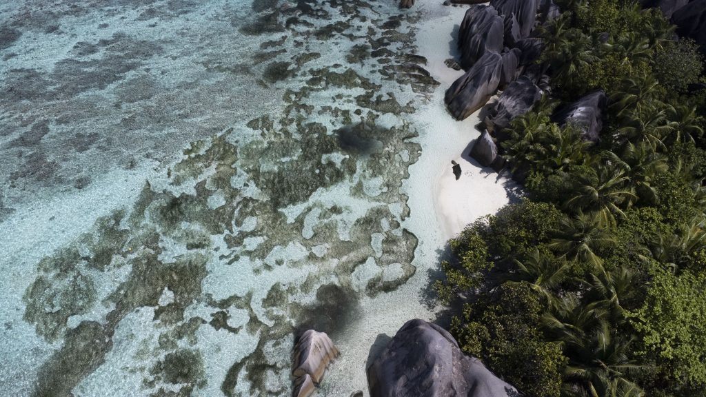 Vogelperspektive auf weißen Sandstrand mit grauen Felsen, grünem Palmenwald und blau schimmerndem Wasser
