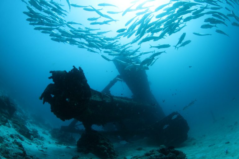 Unterwasseraufnahme eines verrosteten Schiffswracks umgeben von Fischschwärmen am Sport House Reef bei Dhawa Ihuru Malediven