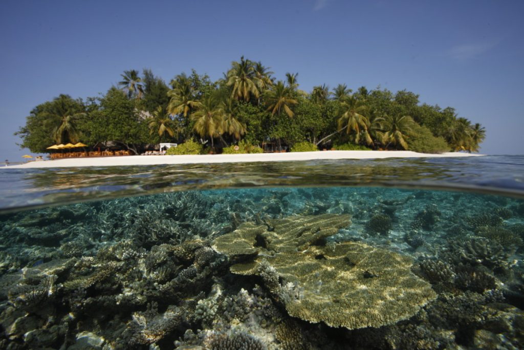 Tropische Insel Dhawa Ihuru mit türkisfarbenem Wasser und Korallenriff unter der Wasseroberfläche