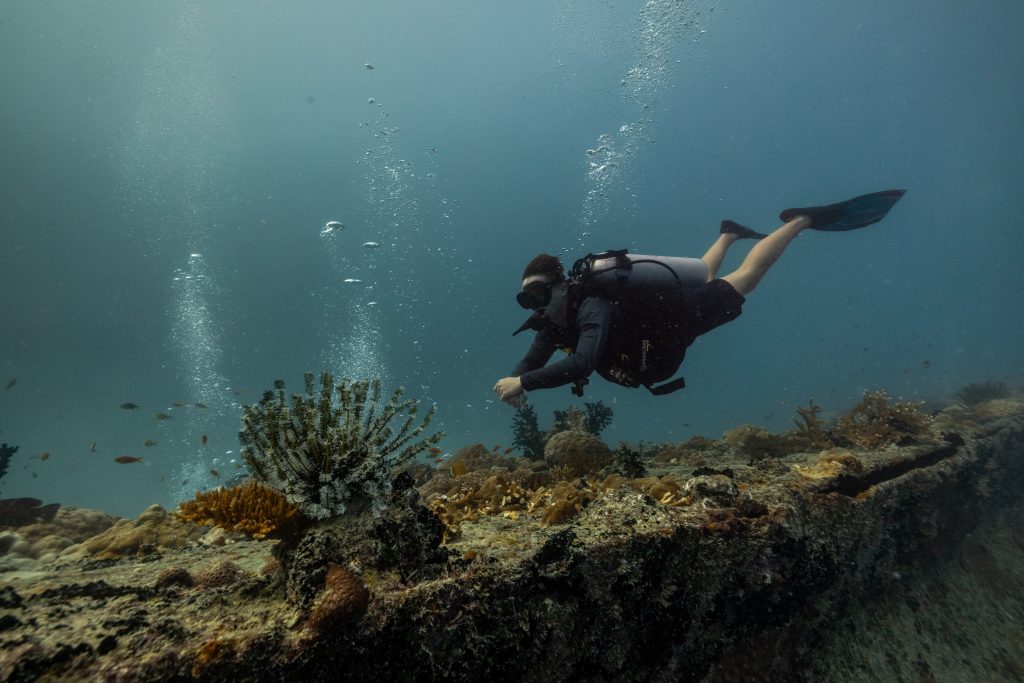 Taucher schwimmt über ein Korallenriff mit bunten Fischen und Korallen in blau-grünem Wasser