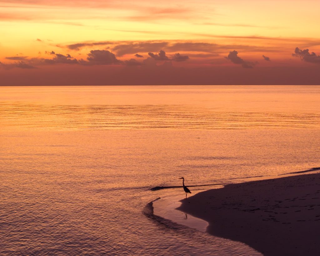 Strand der Eri Maldives mit sanftem Wasser und einem Vogel bei Sonnenuntergang mit gold-orangem Himmel