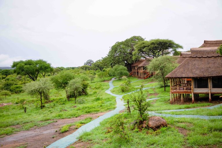 Sangaiwe Mbuyu Tented Lodge