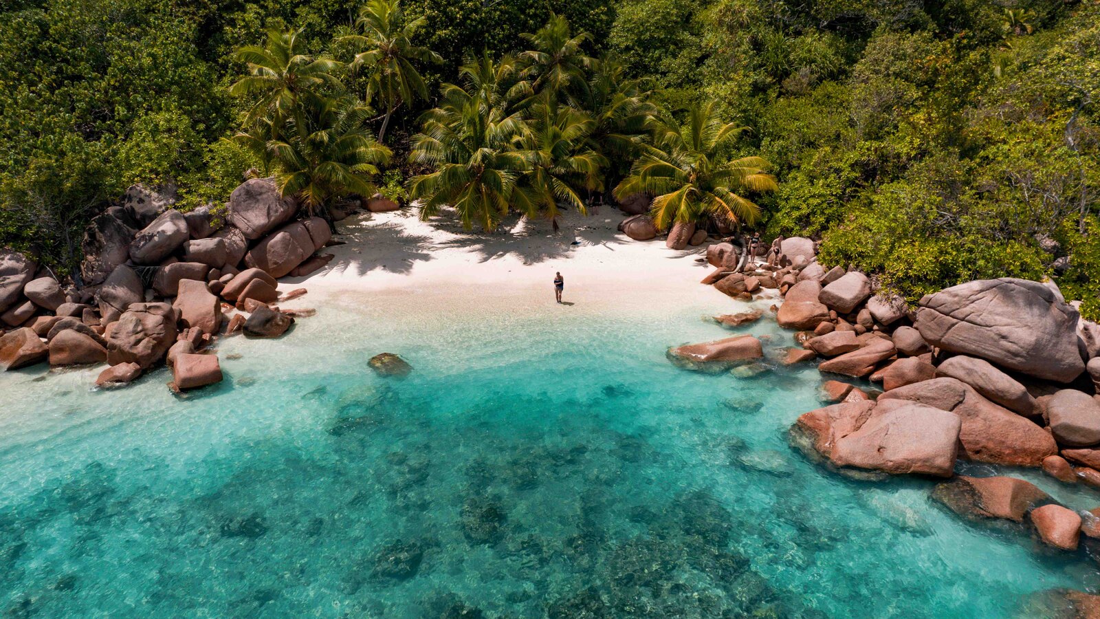 Abgelegener Strand mit Granitfelsen und Palmen auf Praslin Person steht im flachen türkisblauen Wasser an einem weißen Sandstrand, umgeben von Granitfelsen und dichtem Palmenwald.