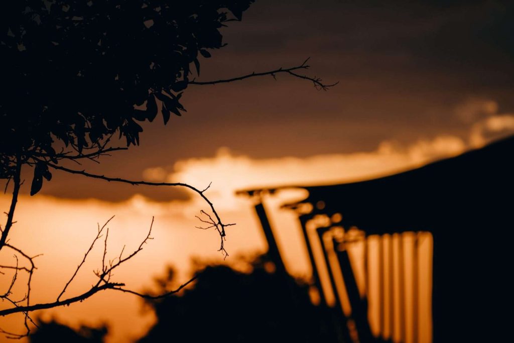 Sonnenuntergang in Orange- und Brauntönen mit Baumzweigen und Gebäudesilhouette im Gnus Lair Camp