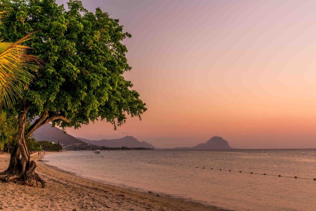 Strand mit großem Baum links, Sand in Bögen, dunkle Bergsilhouetten vor pastellfarbenem Himmel bei Sonnenuntergang