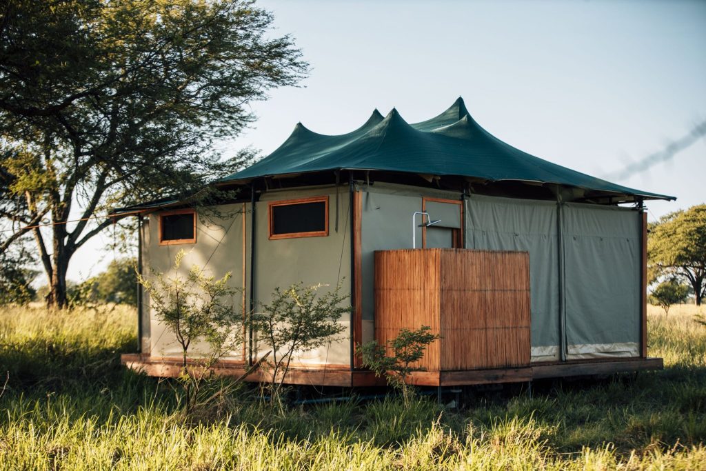 Misako Mara Migration Camp Zelt mit Dachterrasse Großzügiges Zelt mit hellgrauen Stoffwänden, grünem Dach und hölzerner Außendusche in grasbewachsener Landschaft