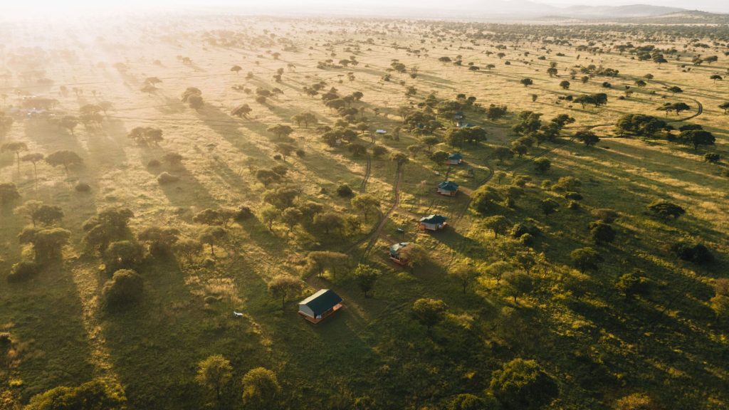 Misako Ndutu Migration Camp weite Landschaft auf Tansania Vogelperspektive auf grasbewachsene Landschaft mit verstreuten Hütten und langen Baumschatten im Misako Ndutu Migration Camp