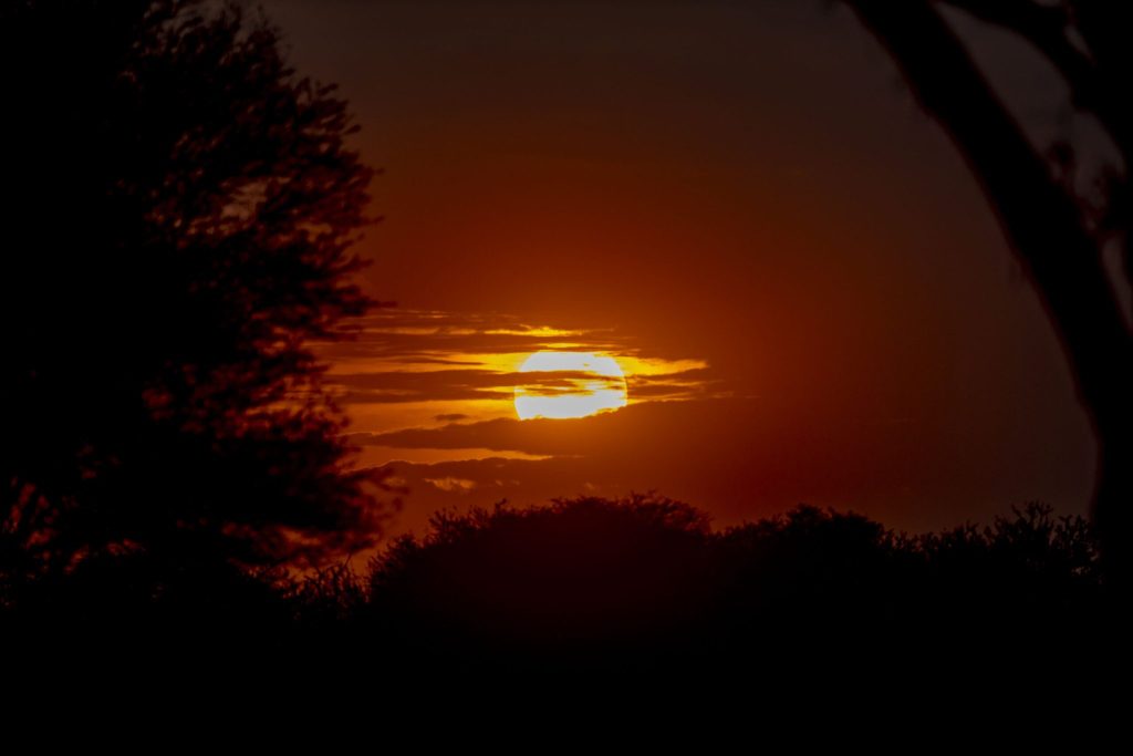 Sonnenuntergang mit orangefarbenem Himmel und Baum-Silhouette am Horizont im Misako Serengeti Camp