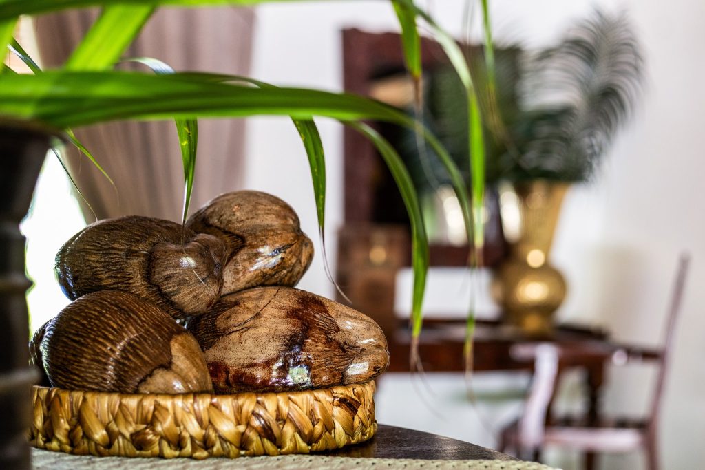 Nahaufnahme einer geflochtenen Schale mit braunen Früchten und Blattwerk an der Rezeption im The Palms Zanzibar