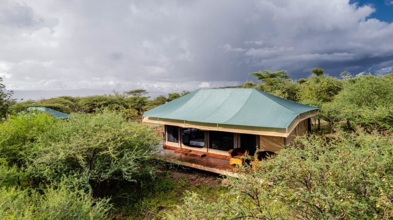 Embalakai Ngorongoro